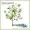Humildes Gracias - Tony Sandate lyrics