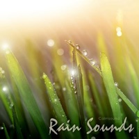 Rain Sounds - Calmsound