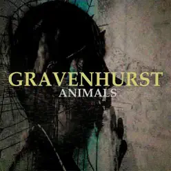 Animals - Single - Gravenhurst Animals - Single - Gravenhurst