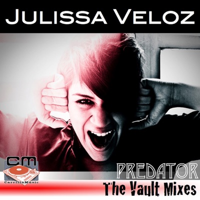 Predator - The Vault Mixes