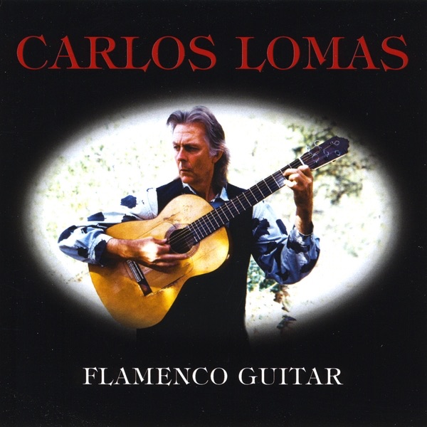 Flamenco Guitar