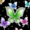 Anywhere Is - Vega Orgel lyrics