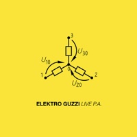 Live P.A. - Elektro Guzzi