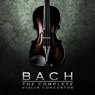 Concerto in G Minor for Violin and Strings, BWV 1056R (After Harpsichord Concerto No. 5 in F Minor): III. Allegro Assai by Camerata Antonio Lucio, Emmy Verhey & Alun Francis song reviws