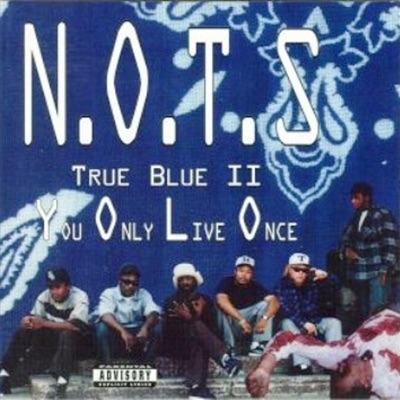 N***a's Off the Streets - N.O.T.S II