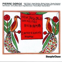 Brikama - New Jungle Orchestra & Pierre Dørge