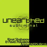 Anima (Solid Stone's On The Beach Remix) — Rinat Shabanov & Pavel Polyakov