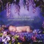 Life Is But a Dream: Sweet Harp Lullabies for the Wee Ones