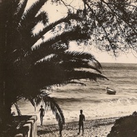 Must Have Been Tokyo - Blood In the Water