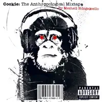 Pocketbook (Rockwilder And Missy Elliott Remix) — Meshell Ndegeocello