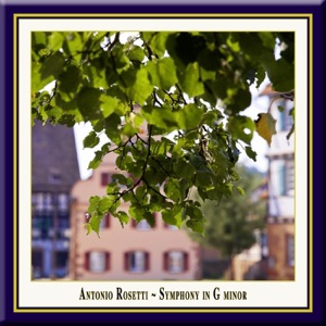 Rosetti: Symphony in G minor