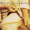 Bruce Cockburn - Someone I Used to Love