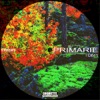 Primarie - I Don't Mean A Thing
