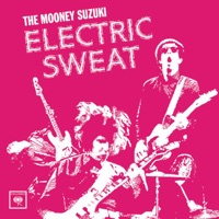 The Mooney Suzuki - It's Not Easy
