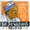Big Joe Williams Revisited