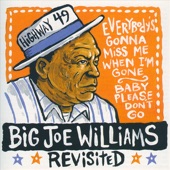 Big Joe Williams Revisited artwork