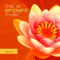 Warm Sunset (Original Mix)