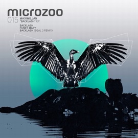 Funky Mary (Original Mix) Maximiljan