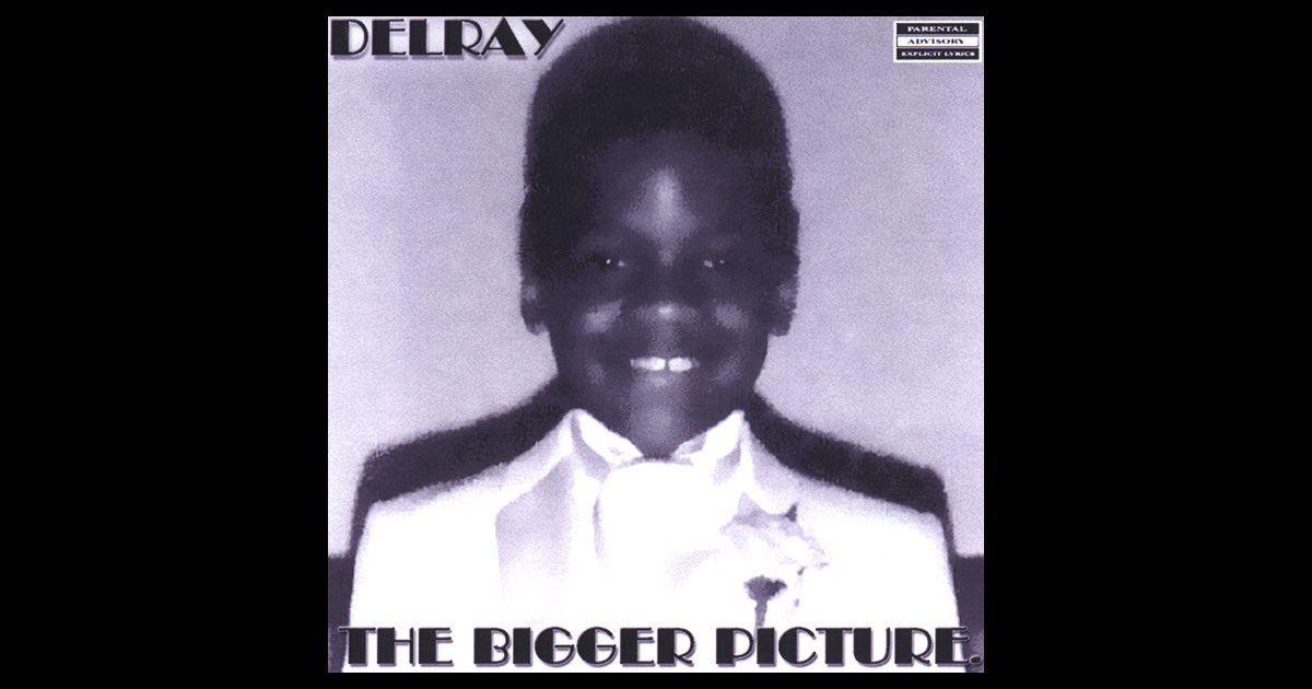 ‎The Bigger Picture - DELRAYのアルバム - Apple Music