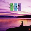 Yoga: Asian Healing Music, 2006
