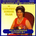 Hoor Ik De Spaanse Gitaren