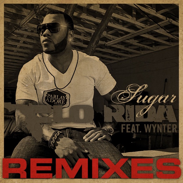 Sugar Remixes (feat. Wynter) - Flo Rida