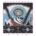 Bunnydrums - Sleeping