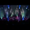 Jungle Theme