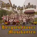 Ein Hergolshäuser Musikant