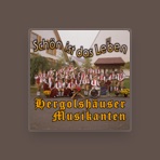 Hergolshäuser Musikanten