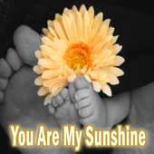 Cover art for You Are My Sunshine by Kids Classics
