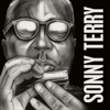 Sonny Terry - Sonny Terry