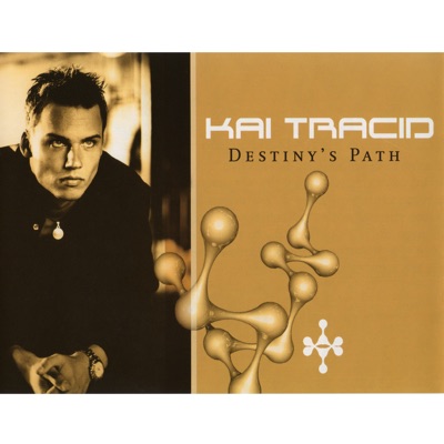 Destiny's Path (Warmduscher Remix) artwork