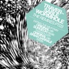 Traversable Wormhole Single #3 - EP