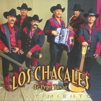 Pepe Tovar y Sus Chacales - Sentimiento de Dolor