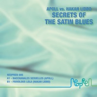 Secrets Of The Satin Blues - Single - Apoll & Hakan Lidbo