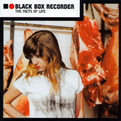 French Rock 'N' Roll