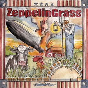 Zeppelin Grass