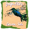 Beija Flor