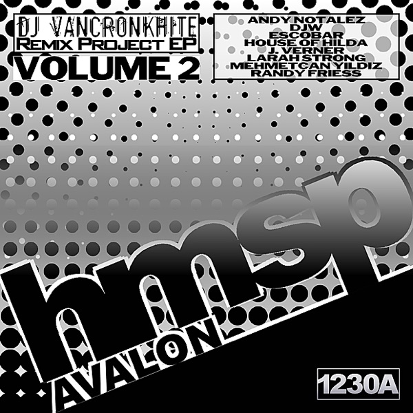 DJ VanCronkhite's Remix Project, Vol. 2