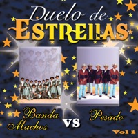Duelo de Estrellas: Pesado vs. Banda Machos, Vol. 1 - Banda Machos & Pesado