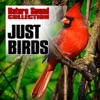 Just Birds (Nature Sounds) - Single