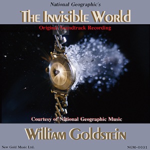 The Invisible World