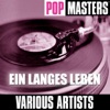 Pop Masters: Ein langes Leben