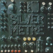 Nightflight by Silver Metre