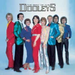 THE BEST OF THE DOOLEYS cover art