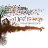 Tamara Wellons - Like Rain (Movement Soul Mix)