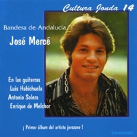 Cultura Jonda XIV - Bandera de Andalucía - José Mercé
