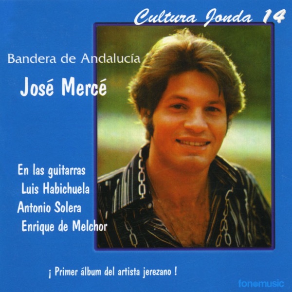 Cultura Jonda XIV - Bandera de Andalucía