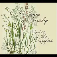 Nothing's Ever Good Enough — Donna Beasley
